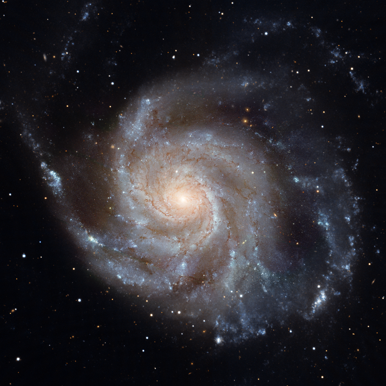 An image of Messier 101, the Pinwheel Galaxy, made with the Hubble Space Telescope. The bright blue clumps in the spiral arms are sites of recent star formation.