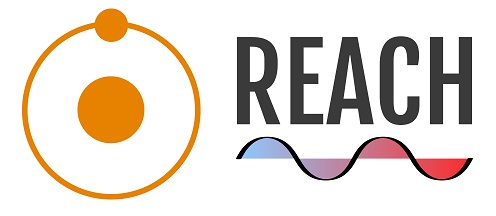 REACH Logo