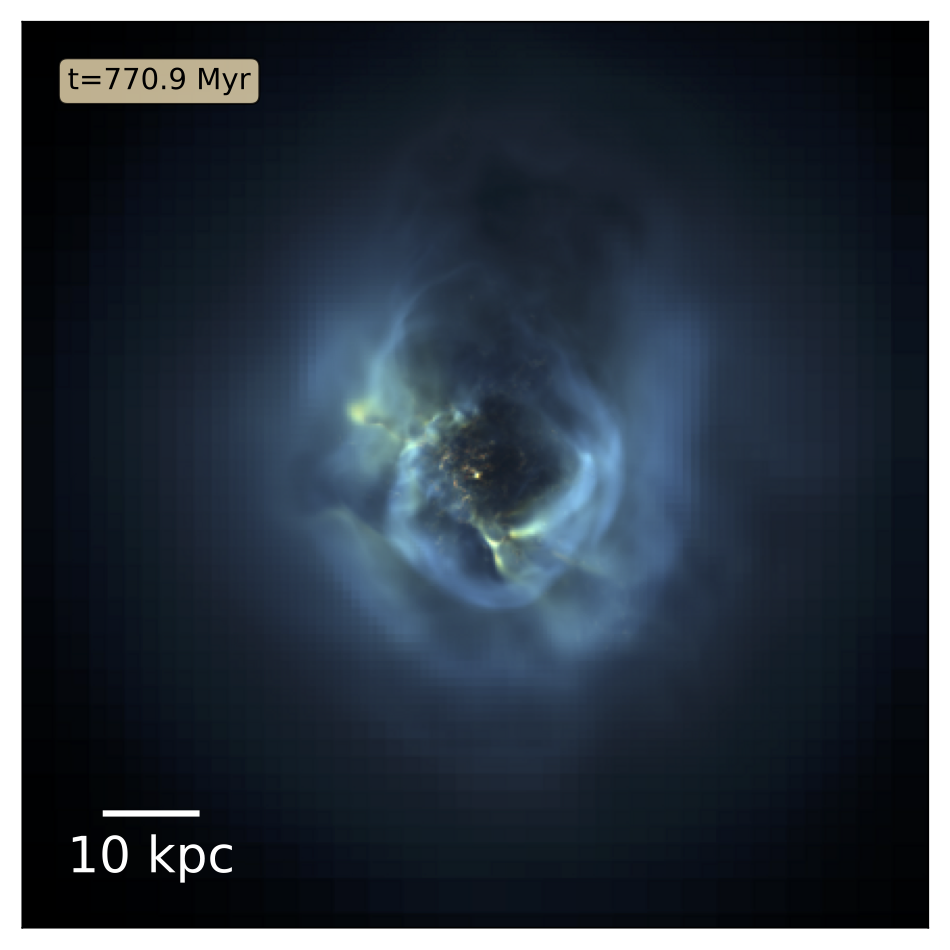 Synthetic Xray image